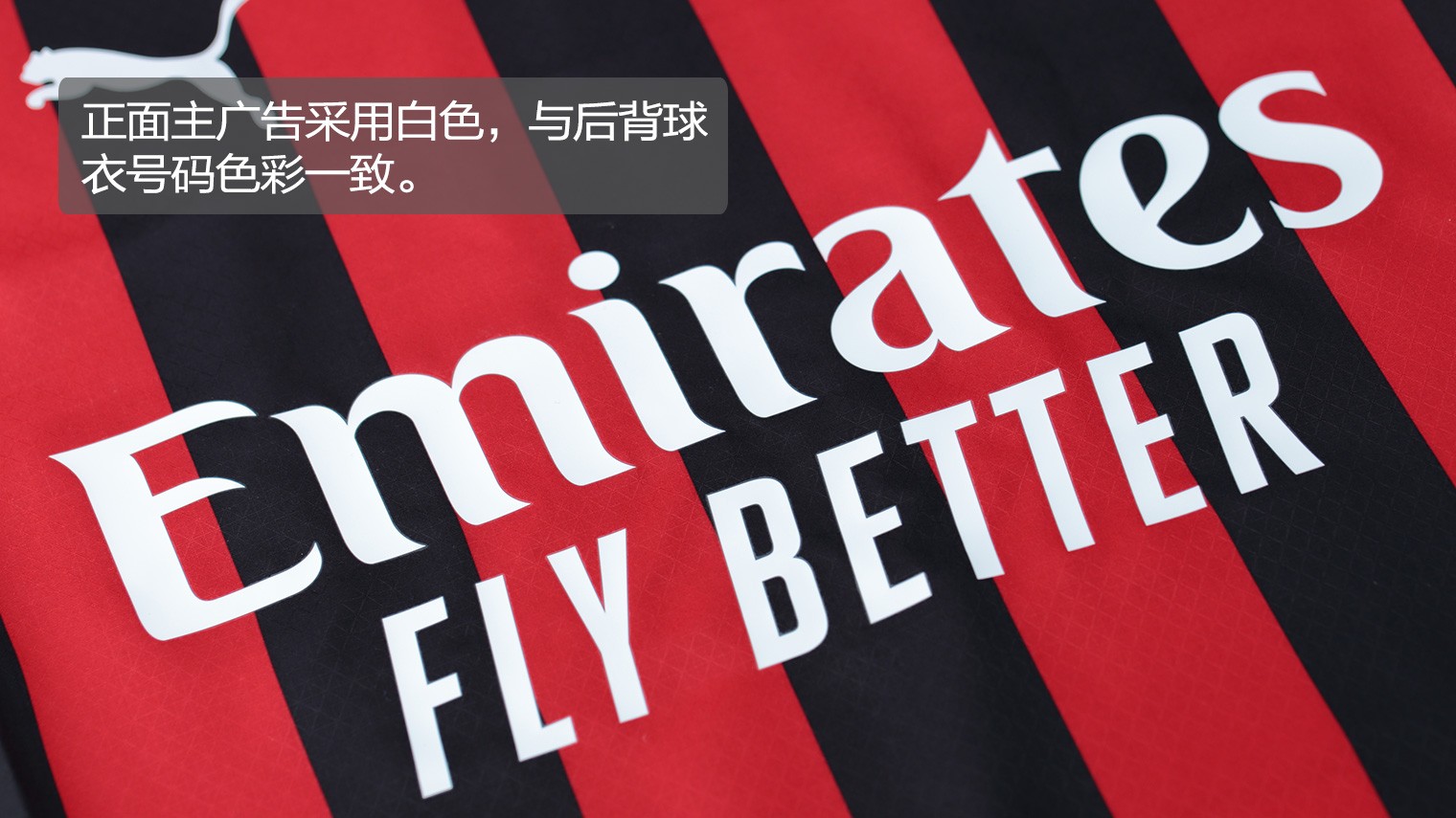 汇率波动与 汇率波动与